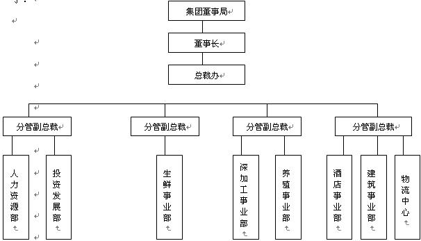 二,工作分析的开展 (一)组织层次的工作分析——组织结构